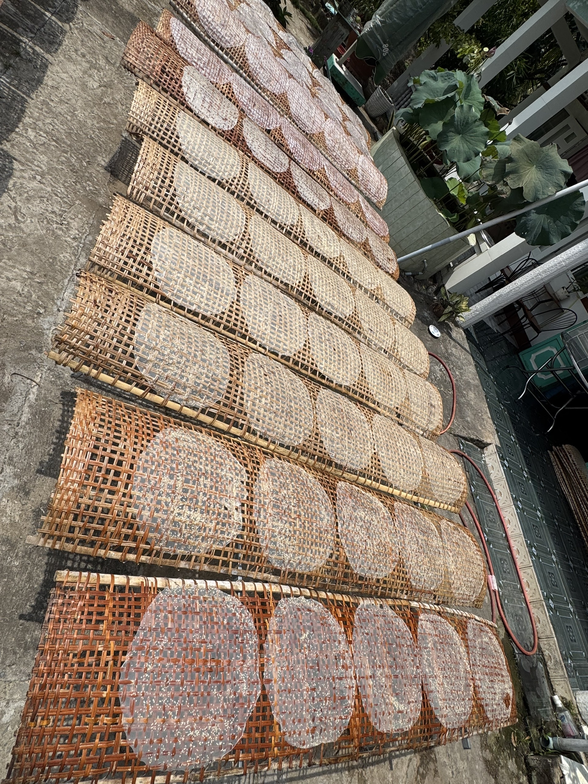 Bánh tráng ngọt sữa Thuý Liễu