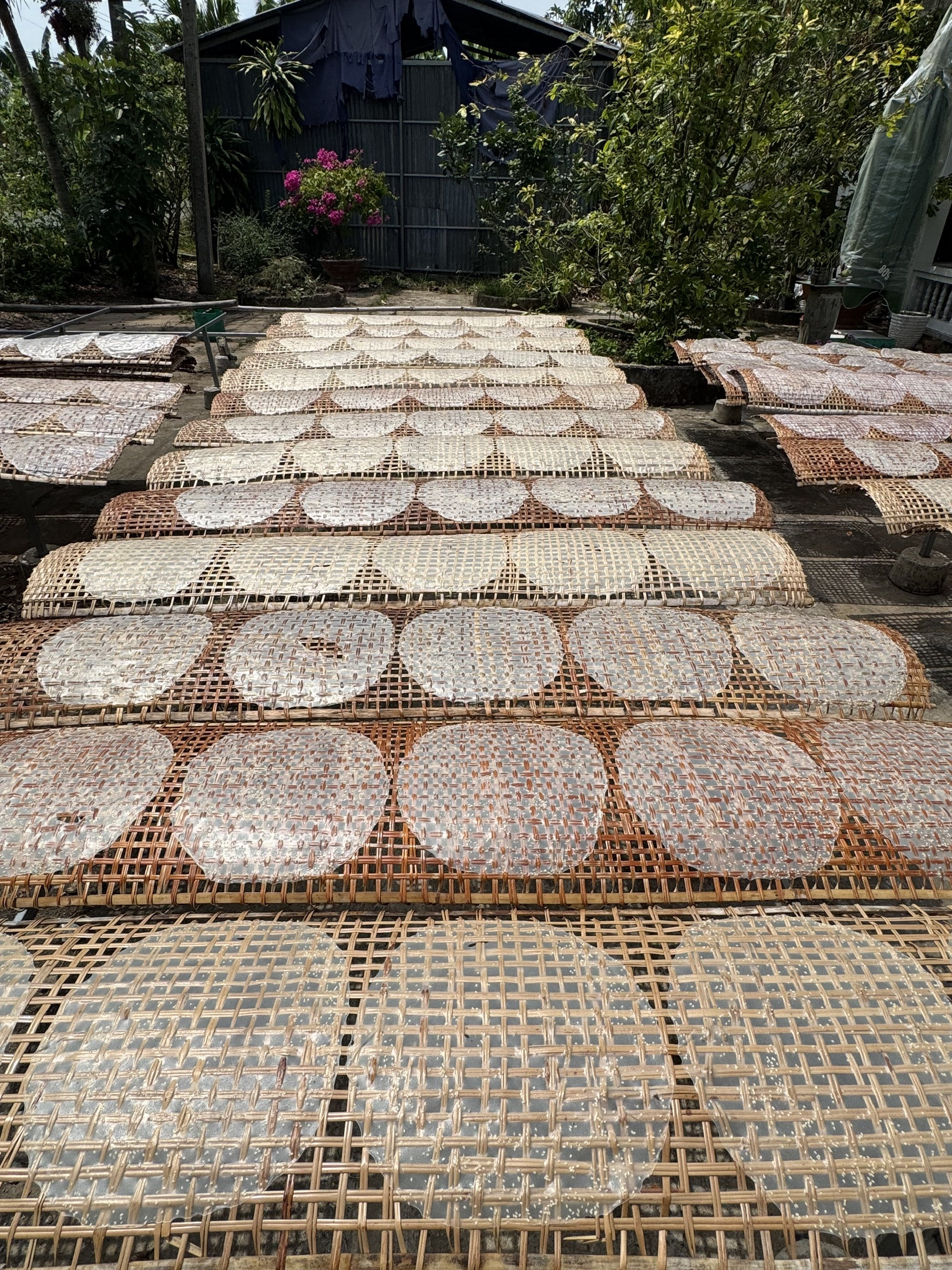 Bánh tráng ngọt sữa Thuý Liễu