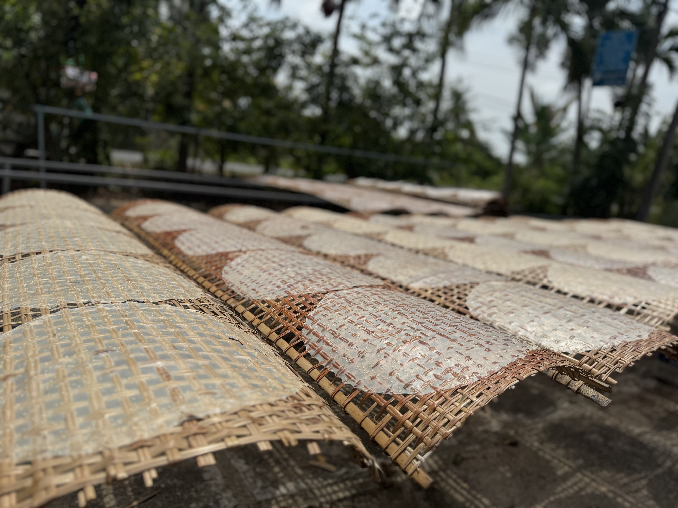 Bánh tráng ngọt sữa Thuý Liễu