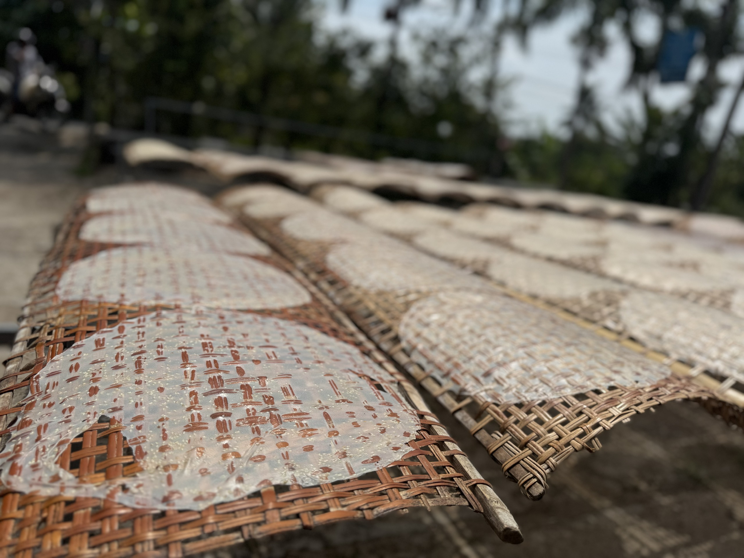 Bánh tráng ngọt sữa Thuý Liễu