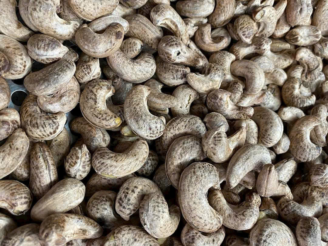 Hạt điều rang muối