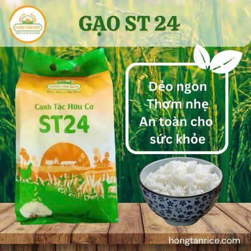 Gạo ST 24