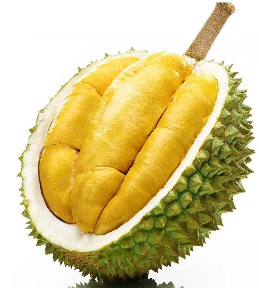 Sầu riêng ri6 Mỹ Thạnh Trung