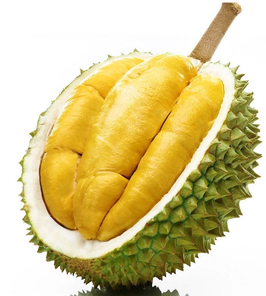 Sầu riêng Ri6 Mỹ Thạnh Trung