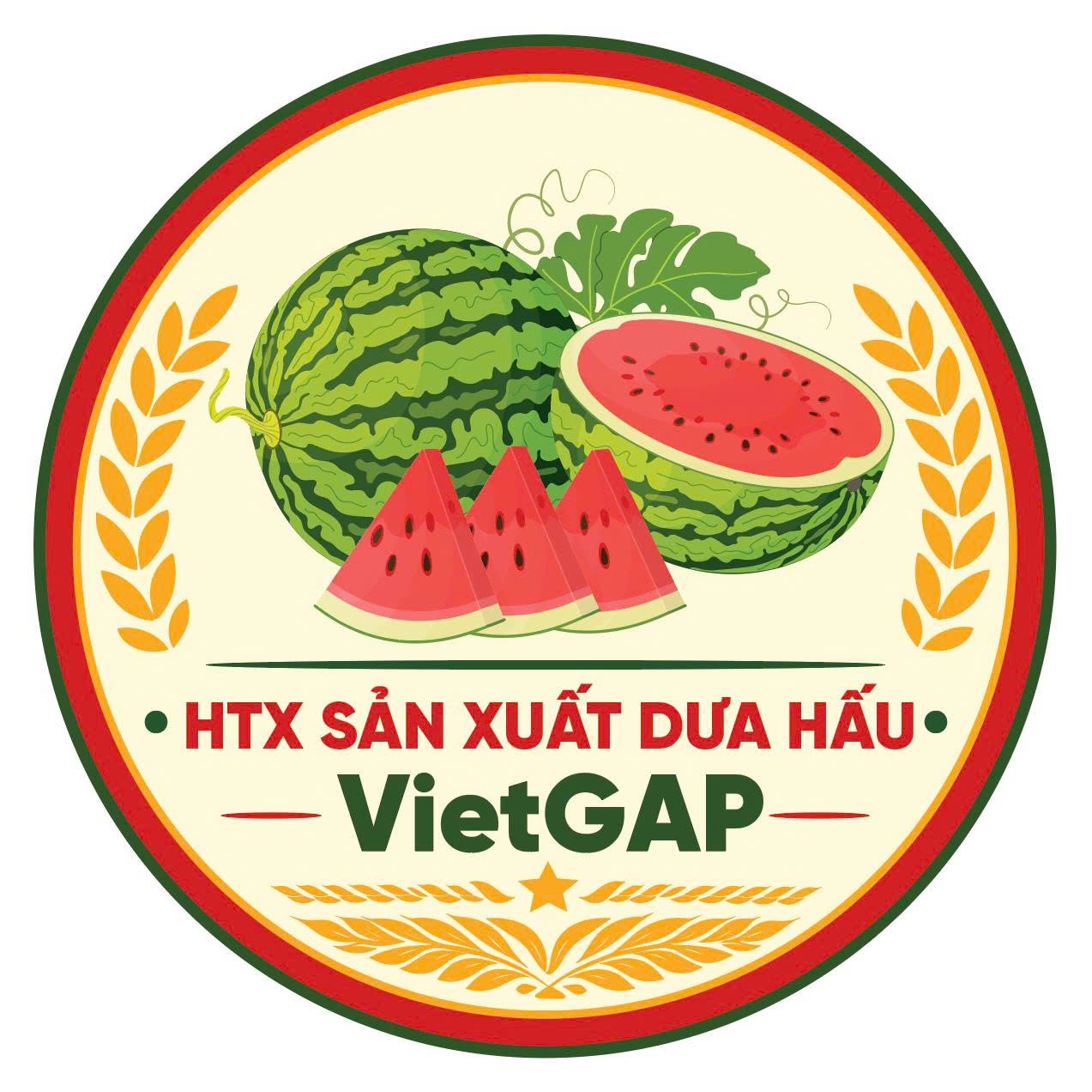 Hợp tác xã sản xuất Dưa hấu VietGAP