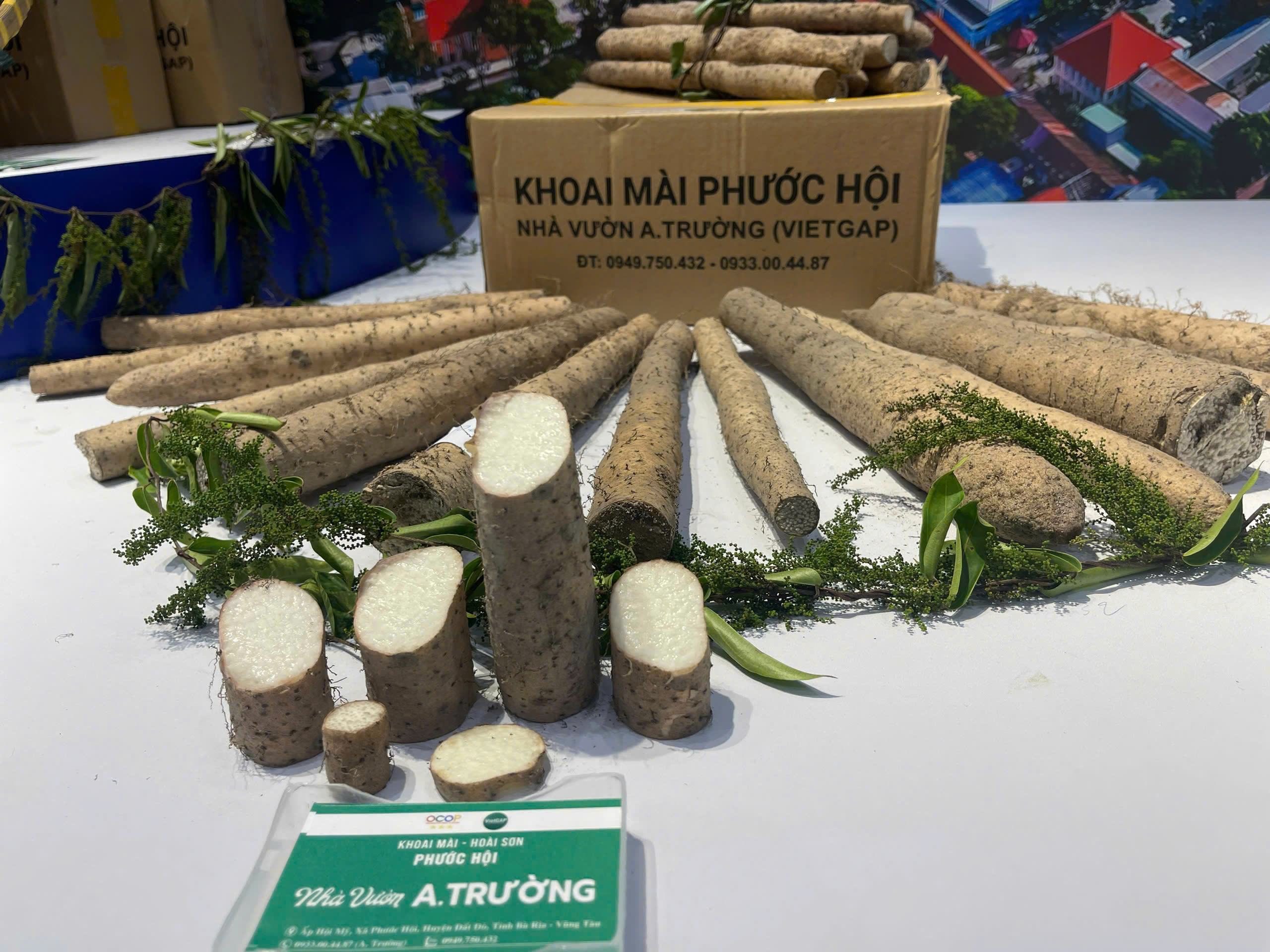KHOAI MÀI CỦ TƯƠI